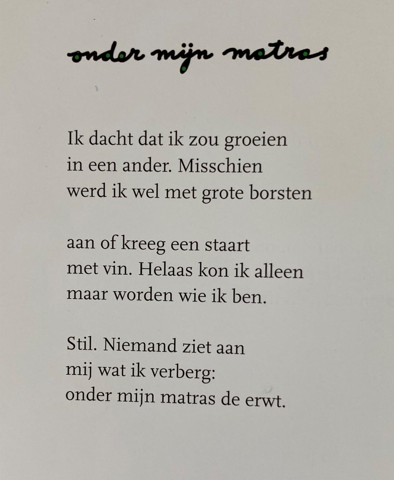 Fragment uit Onder mijn matras de erwt: gedichten en portretten van Ted van Lieshout