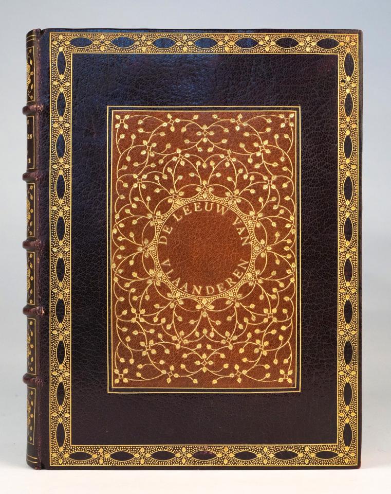 Deze foto toont een boekband van Berthe van Regemorter van het boek De leeuw van Vlaanderen